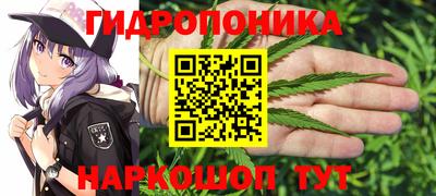 амф Усть-Джегута