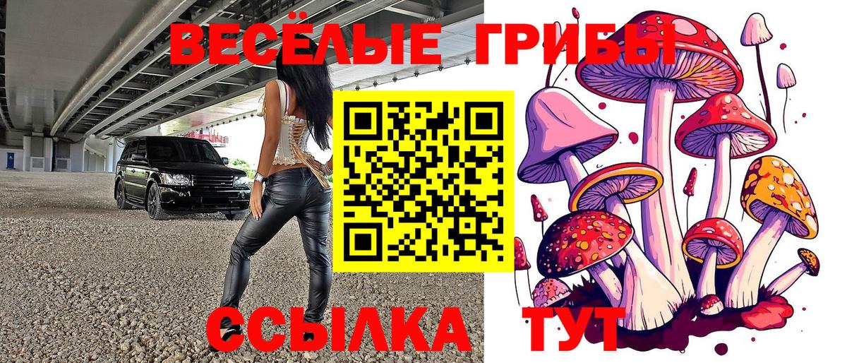 Псилоцибиновые грибы Psilocybine cubensis Малоярославец