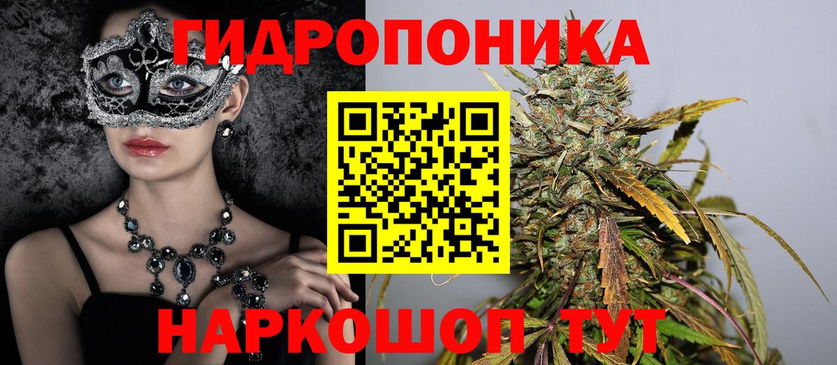 Конопля гибрид Малоярославец